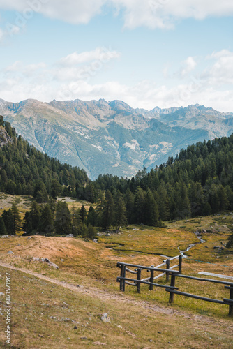 Alps and mountains in fog in summer