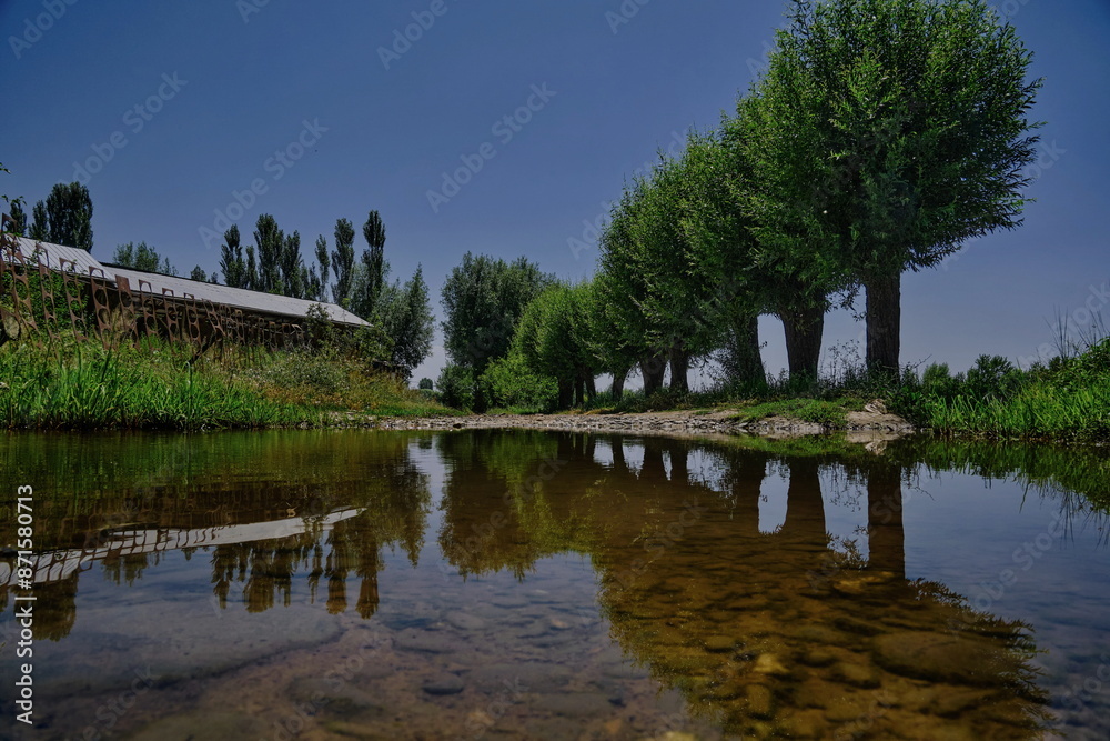 Obraz premium A rural street with a large puddle reflecting the trees, rural landscape.