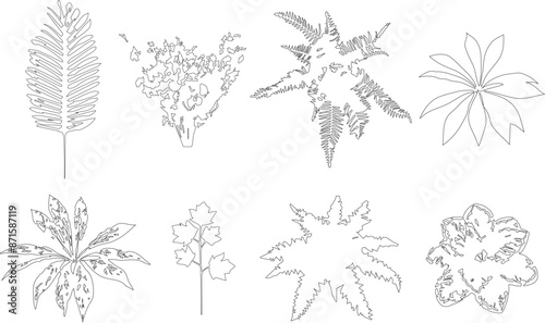 High detail vector illustration of grass, fern and plants. realistic drawing, sketch for architectural use