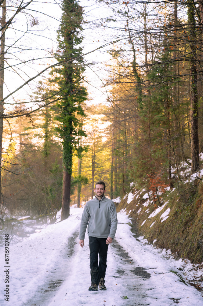 person walking in the woods with snow towards the camera person walking in the woods with snow towards the camera