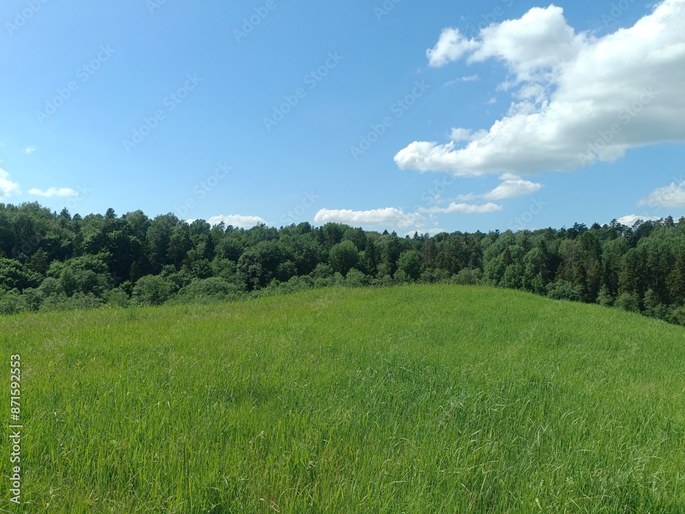 Bubiai hill during sunny day. Small hill. Grass is growing on hill. Staircase leading to the top. Sunny day with white and gray clouds in sky. Nature. Bubiu piliakalnis. Bubiai hill during sunny day. Small hill. Grass is growing on hill. Staircase leading to the top. Sunny day with white and gray clouds in sky. Nature. Bubiu piliakalnis.