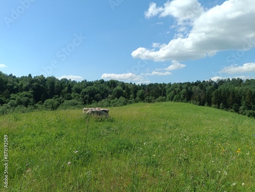 Bubiai hill during sunny day. Small hill. Grass is growing on hill. Staircase leading to the top. Sunny day with white and gray clouds in sky. Nature. Bubiu piliakalnis. photo