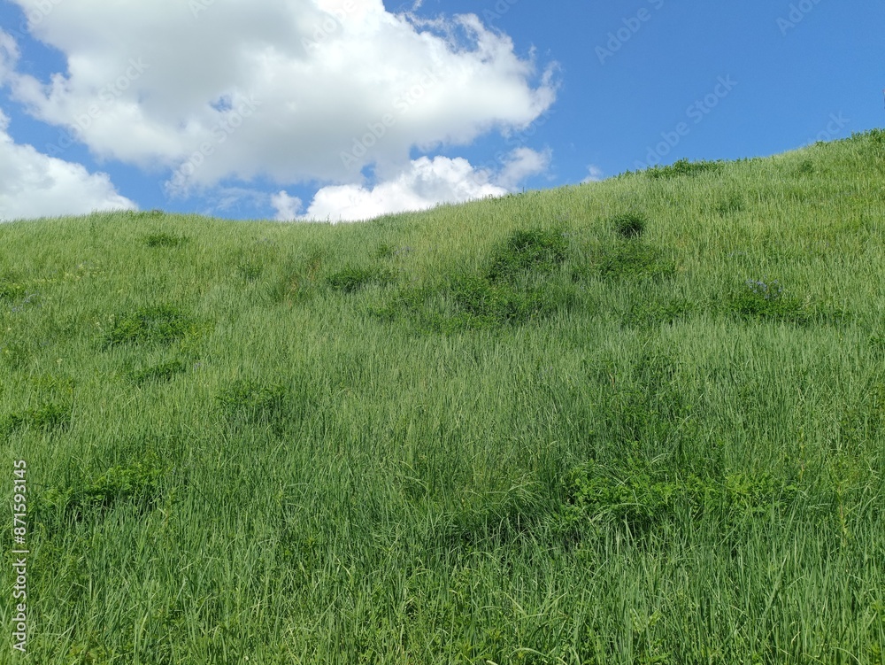 Bubiai hill during sunny day. Small hill. Grass is growing on hill. Staircase leading to the top. Sunny day with white and gray clouds in sky. Nature. Bubiu piliakalnis. Bubiai hill during sunny day. Small hill. Grass is growing on hill. Staircase leading to the top. Sunny day with white and gray clouds in sky. Nature. Bubiu piliakalnis.