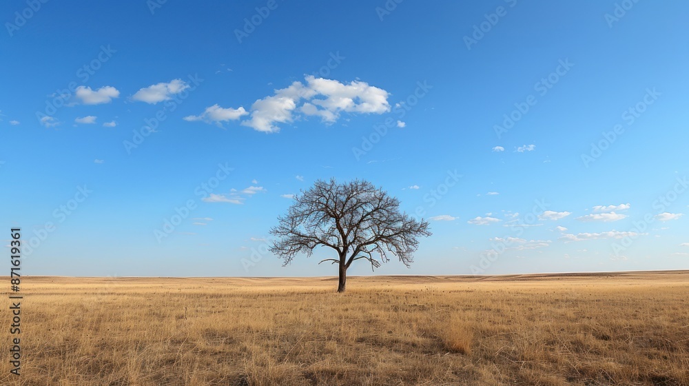 Lone Tree in a Serene Landscape. Expansive Field Under a Blue Sky Lone Tree in a Serene Landscape. Expansive Field Under a Blue Sky