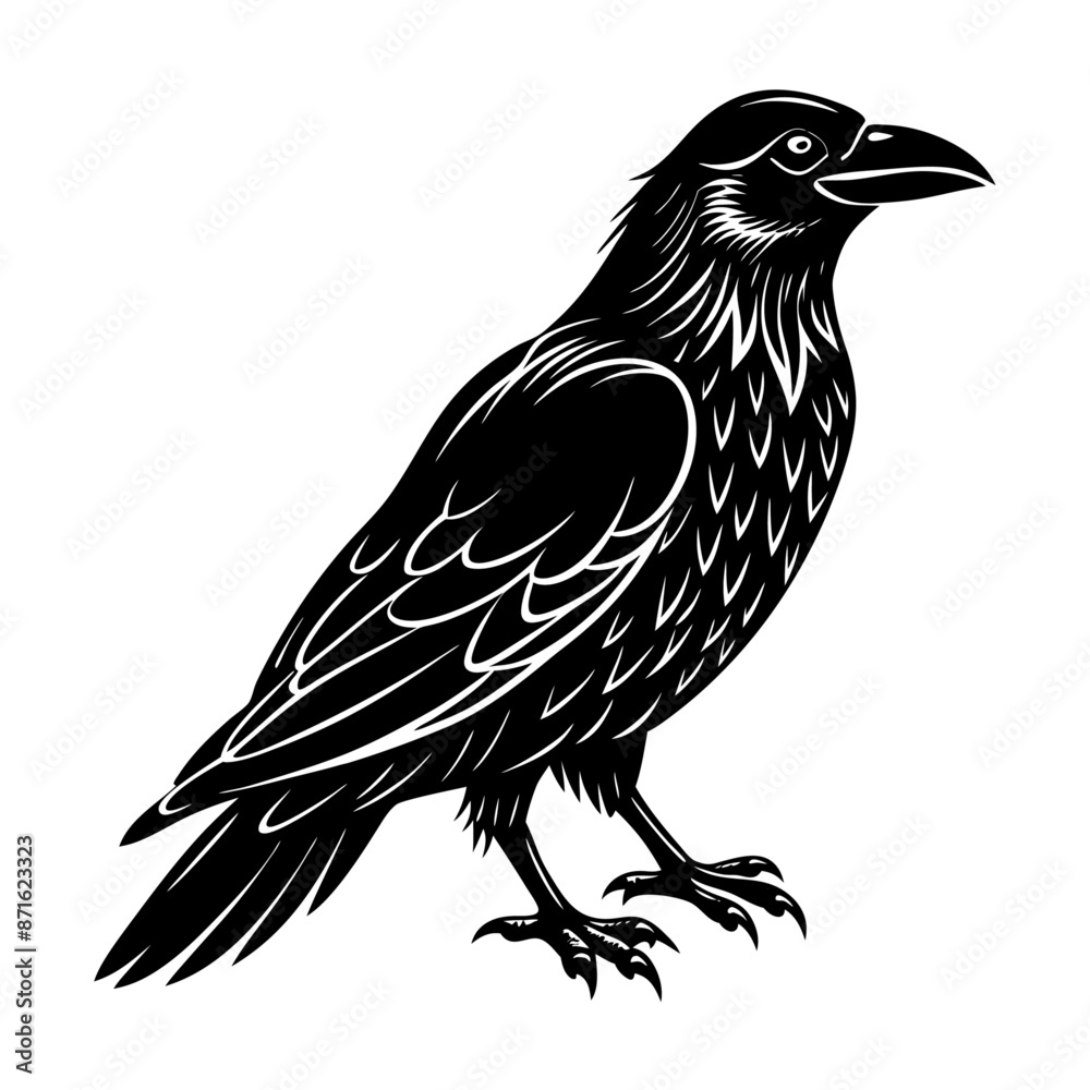 Obraz premium crow-silhouette vector 