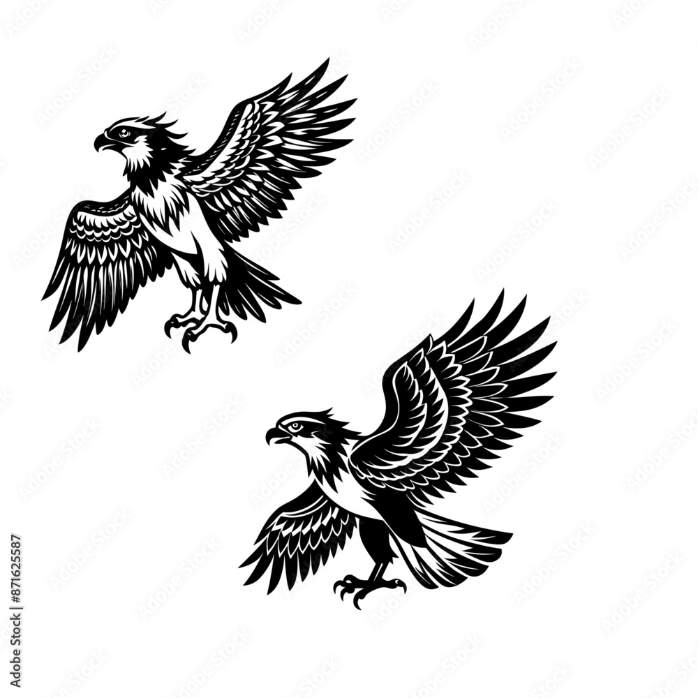 Obraz premium osprey-silhouette