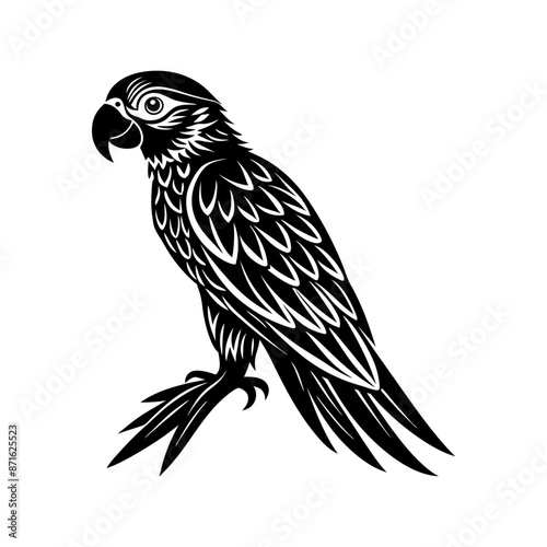 Macaw silhouette vector