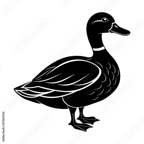 mallard-duck--silhouette