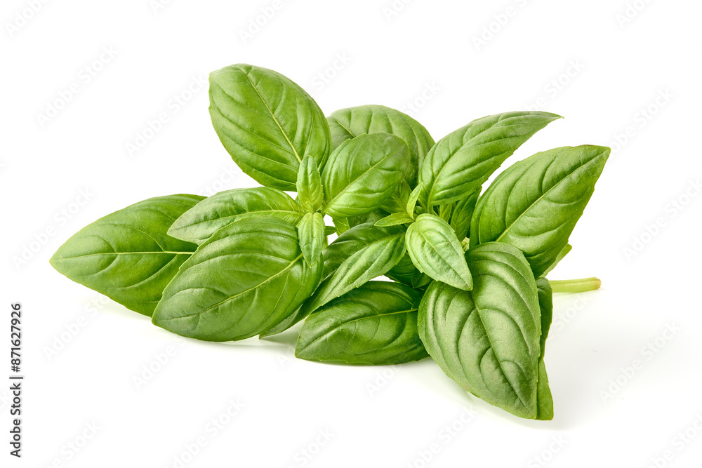 Raw Green Organic Basil leaves, isolated on white background. Raw Green Organic Basil leaves, isolated on white background.