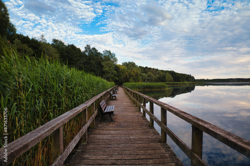 Naklejka premium Bohlensteg Blankensee bei Trebbin - Herbst - Brandenburg - Germany - See - Park - Steg - Jetty - Nature - Landschaft