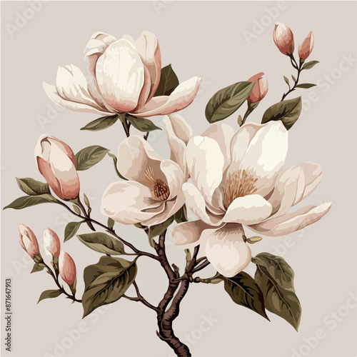 White magnolia flowers vector illustration on isolated white background