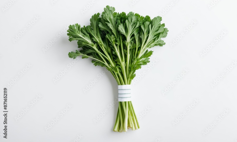Bundle of fresh chrysanthemum greens on white background Bundle of fresh chrysanthemum greens on white background
