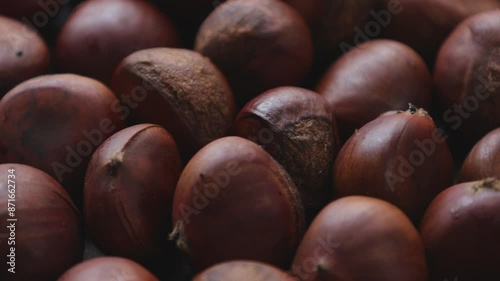 Brown chestnut nut background 