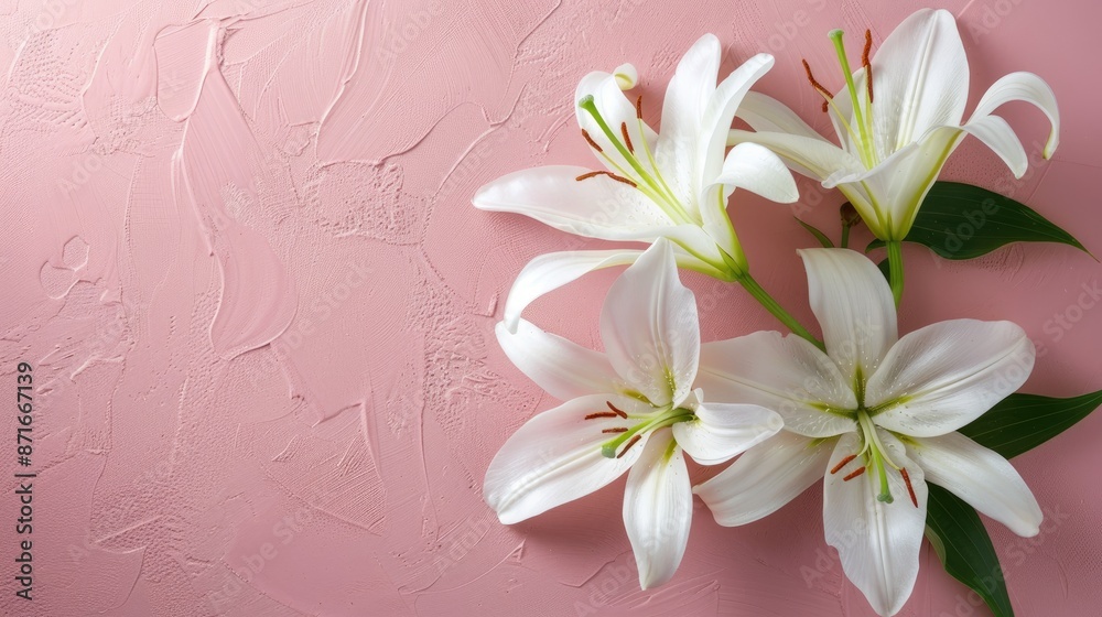Lilies on soft pink surface in flat lay view with space for text Lilies on soft pink surface in flat lay view with space for text