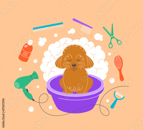 Cute little poodle taking a bath in a plastic bowl with soap foam, bubbles and grooming tools, such as hair dryer, scissors, shampoo, brushes, combs. Hand drawn doodle pet grooming salon illustration