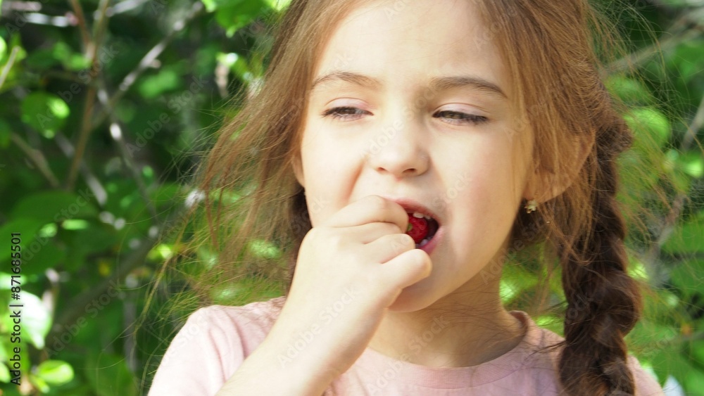 Cute girl tasting picked strawberries in the garden. Smiling girl holding strawberries in the garden. Happy child enjoying fresh picked strawberries in the garden Cute girl tasting picked strawberries in the garden. Smiling girl holding strawberries in the garden. Happy child enjoying fresh picked strawberries in the garden