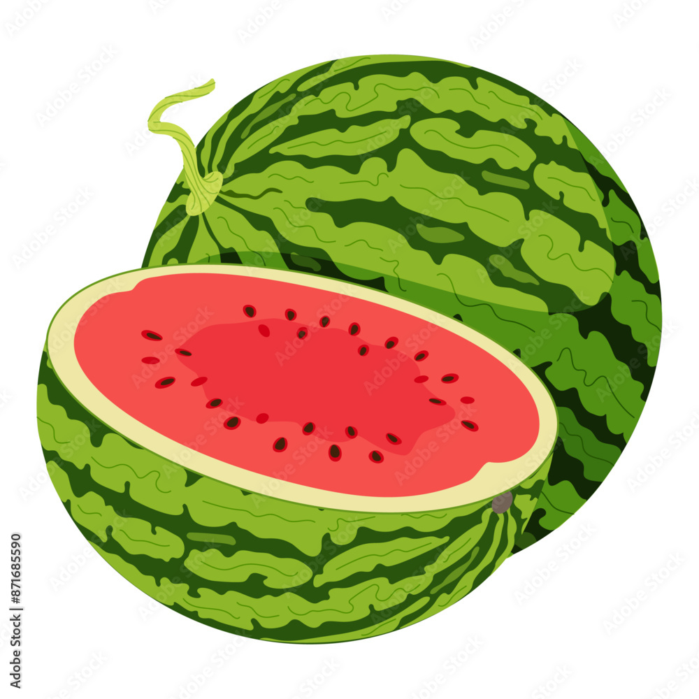 Ripe red whole and half watermelon Cartoon Fresh watermelon slice Hand drawn Trendy flat style isolated cut fruit organic natural dessert healthy sweet red juicy summer fruit Vector illustration Ripe red whole and half watermelon Cartoon Fresh watermelon slice Hand drawn Trendy flat style isolated cut fruit organic natural dessert healthy sweet red juicy summer fruit Vector illustration