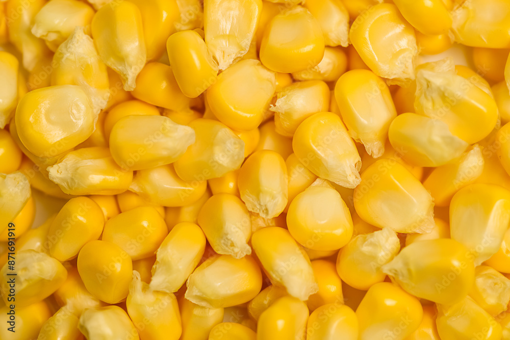 Close-up of yellow sweet corn kernels. Selective focus. Design element for product label, catalog print. Close-up of yellow sweet corn kernels. Selective focus. Design element for product label, catalog print.