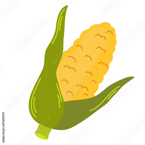 Yellow corn cob with leaves. Sweet maize in husk. Ripe corncob with leaf. Fresh cereal vegetable. Raw veggie. Colored flat vector illustration of sweetcorn isolated on white background