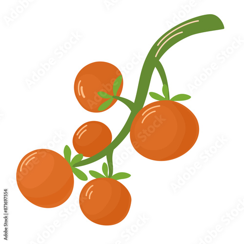 Cherry tomatoes growing on branch. Fresh ripe red vegetables on food plant. Small health veggies. Natural organic farm crop. Flat vector illustration isolated on white background