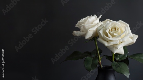 Fototapeta Naklejka Na Ścianę i Meble -  Symbol of love two white roses in black Vase with copy space