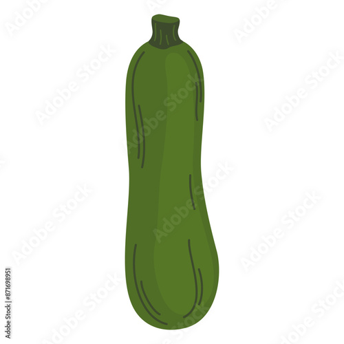 Green zucchini vegetable. Fresh whole courgette icon. Raw squash veggie. Healthy vegetarian food. Flat vector illustration of zuchini isolated on white background