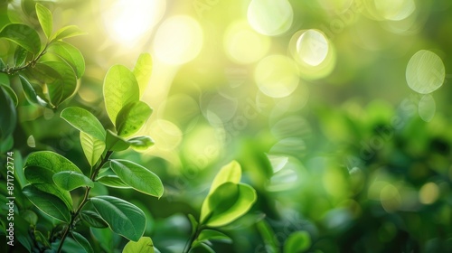 Nature s green background with sunlit bokeh effects