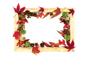 Autumn leaves, nuts, berry fruit background border. Vivid nature green red abstract colorful harvest festival design on white, rustic gold picture frame.