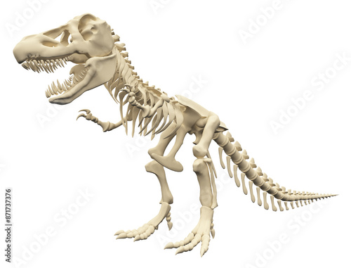 Fototapeta Naklejka Na Ścianę i Meble -  Tyrannosaurus Rex Skelett, Freisteller 