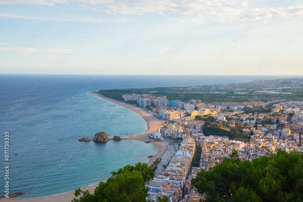 Fototapeta premium Scenic Mediterranean view: palm trees and crystal-clear sea
