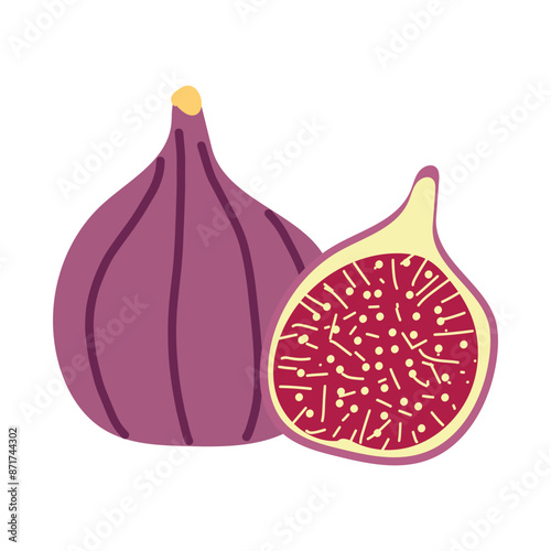 Fig. Vector illustration. Fruit in section . White isolated background.