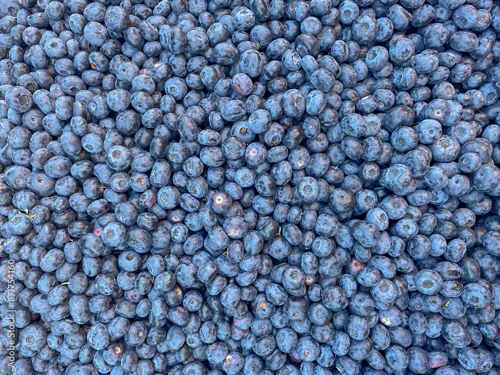 Thick layer of blueberries. Natural blueberry background. Thick layer of blueberries. Natural blueberry background.