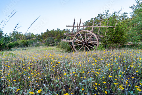 Ancient ox cart with wooden spokes wheels and metal rim and remnant of railing support, Hill Country, Texas