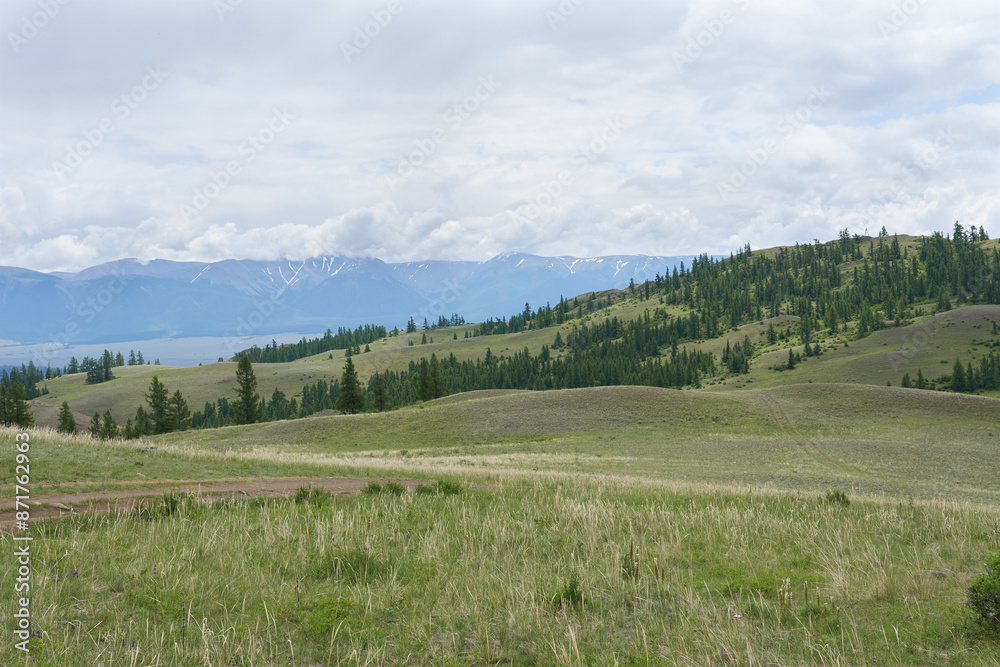 Fototapeta premium Mountains and meadows. Nature of Mountain Altai.