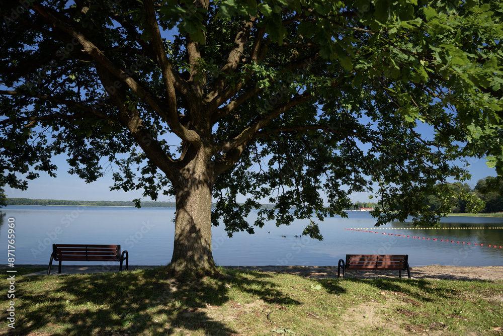 LANDSCAPE ON THE SHORE OF LAKE - Benches for walkers under the oak tree
LANDSCAPE ON THE SHORE OF LAKE - Benches for walkers under the oak tree