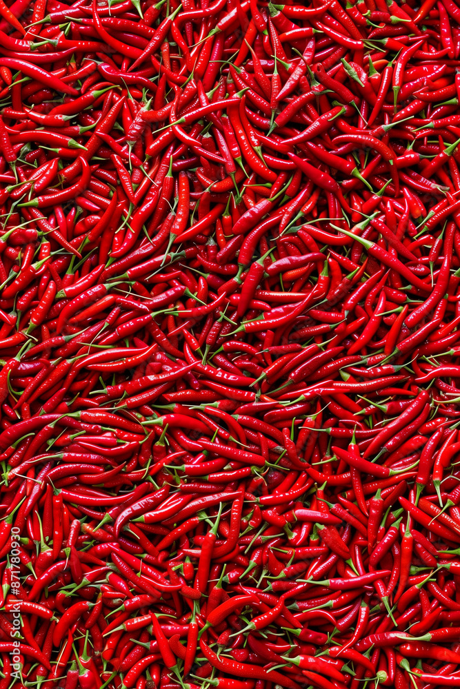 Fototapeta premium Background of red hot chili peppers