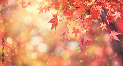 Autumn background with blurred red maple leaves on a light soft pastel colored background, an autumn nature concept banner design