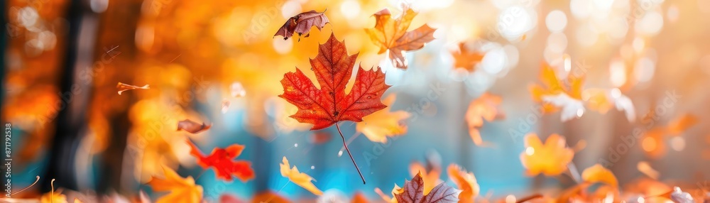Obraz premium Scenic autumn landscape with colorful trees, falling leaves, peaceful nature scene, vibrant foliage, crisp air, fall tranquility, picturesque beauty, serene atmosphere