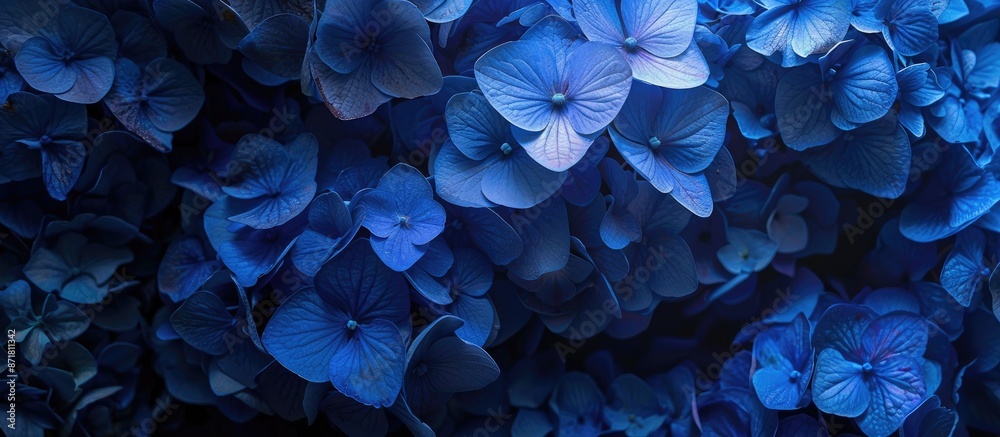 A lovely backdrop of hydrangea with room for text or images. Copy space image. Place for adding text and design A lovely backdrop of hydrangea with room for text or images. Copy space image. Place for adding text and design