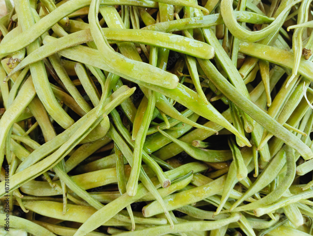 Cluster beans vegetable food heap guar haricot cluster clusterbean, cyamopsis tetragonoloba, frijolracimo, annual legume gavar, gawar, or guvar bean photo Cluster beans vegetable food heap guar haricot cluster clusterbean, cyamopsis tetragonoloba, frijolracimo, annual legume gavar, gawar, or guvar bean photo