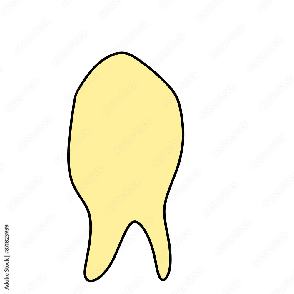Human tooth illustration