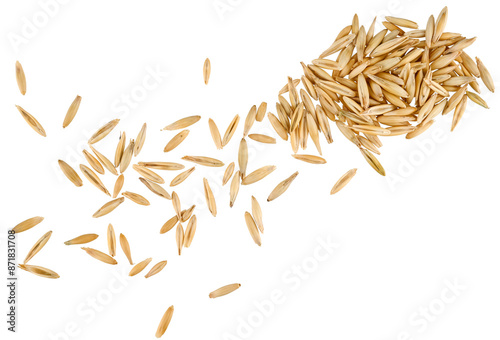 Scattered oat grain seeds isolated on a transparent background. Top view.