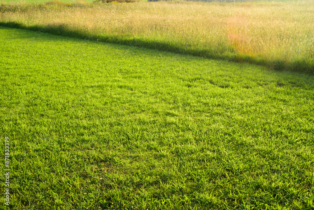 Hierba recién cortada en campo al atardecer Hierba recién cortada en campo al atardecer