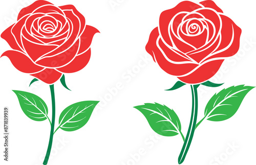 Rose flower vector illustration design