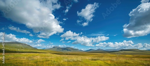 Beautiful landscape with fluffy white clouds in a blue sky, perfect for a copy space image.