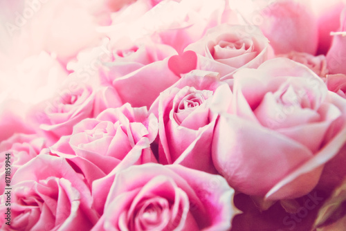 pink roses background