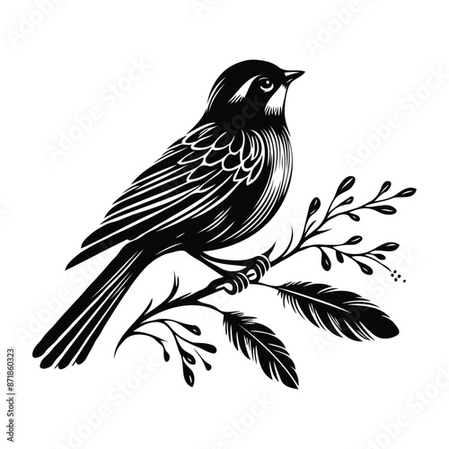 bird silhouettes vector image with isolated background