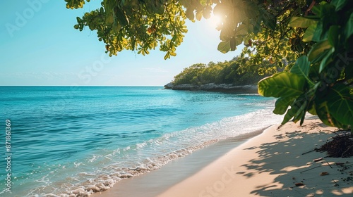 Sun-kissed beach with turquoise waters