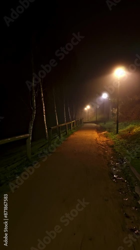 Foggy park pathway illuminated by streetlights at night