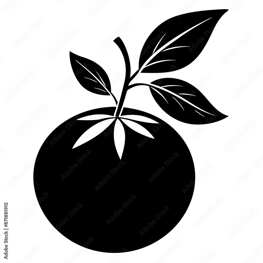 Stunning Silhouette of an Orange Stunning Silhouette of an Orange